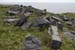 20120506_arandunaonghasafortchevauxdefrise09