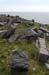 20120506_arandunaonghasafortchevauxdefrise10