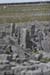 20120506_arandunaonghasafortchevauxdefrise14