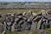 20120506_arankilmurvyisthmusland37