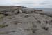 20120506_aranmweeleenareeavacoast09