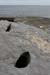 20120506_aranmweeleenareeavahead01