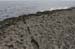 20120506_aranmweeleenareeavahead35