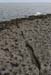 20120506_aranmweeleenareeavahead36