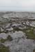 20120506_aranmweeleenareeavahead37