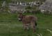 20120506_aransevenchurchass