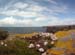 20120507_arandoonaghardheadw02