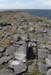 20120507_arandoonaghardheadw06