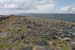 20120507_arandoonaghardheadw08