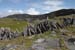 20120507_arandunduchathairin22
