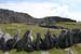 20120507_arandunduchathairin24