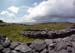 20120507_arandunduchathairin28