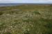 20120507_aranmainistircoast4