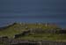 20120507_aranmainistircoast5