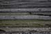 20120507_aranoghillfields06