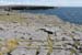 20120507_aranpollnabriskenaghcliffedgetoeast10