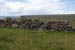 20120507_aranpollnabriskenaghcliffedgetow13