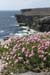 20120507_aranpollnabriskenaghcliffedgetow23