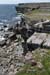 20120507_aranpollnabriskenaghcliffedgetow24