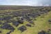 20120507_aranpollnabriskenaghland03