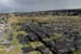 20120507_aranpollnabriskenaghland05