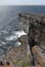 20120507_aranwhirpeashead01