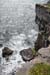 20120507_aranwhirpeashead02
