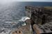20120507_aranwhirpeashead05