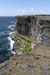 20120507_aranwhirpeashead08