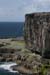 20120507_aranwhirpeashead09