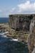 20120507_aranwhirpeashead10