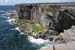 20120507_aranwhirpeashead14