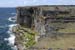20120507_aranwhirpeashead15
