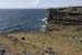 20120507_aranwhirpeashead16