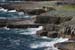 20120507_aranwhirpeashead20