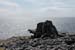 20120507_aranwhirpeashead21