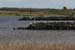 20120508_aranbarfeentalough5