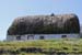 20120508_arancowragh2