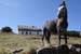 20120508_arancowragh7