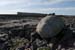 20120508_arankilmurvyisthmusland18
