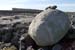 20120508_arankilmurvyisthmusland19