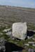 20120508_arankilmurvyisthmusland21