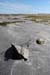 20120508_arankilmurvyisthmusland24