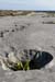 20120508_arankilmurvyisthmusland32