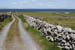 20120508_aranmooltiaroad3