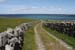 20120508_aranmooltiaroad5
