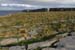 20120508_arannalheahead06