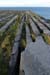 20120508_arannalheaheadcliffedge04