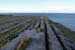 20120508_arannalheaheadcliffedge06