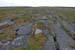 20120508_arannalheaheadcliffedge13
